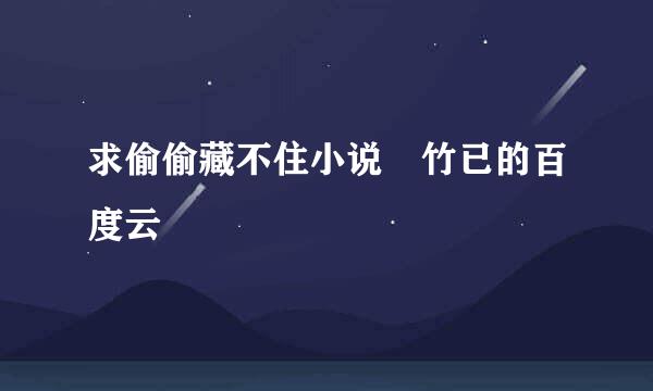 求偷偷藏不住小说 竹已的百度云
