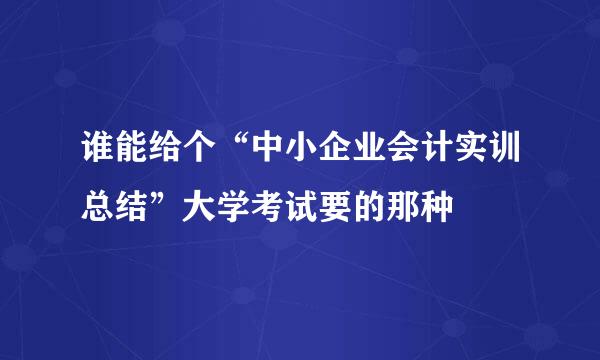 谁能给个“中小企业会计实训总结”大学考试要的那种
