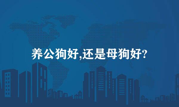 养公狗好,还是母狗好?