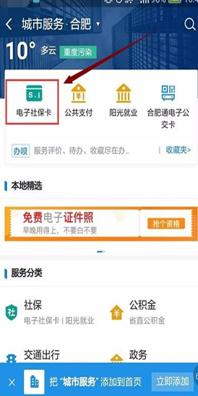 农保在支付宝上怎么缴费