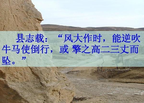 风大作时,能逆吹牛马使倒行,或擎之高二三丈而坠