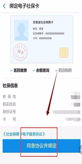 农保在支付宝上怎么缴费
