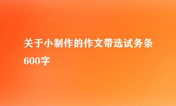关于小制作的作文带选试务条600字