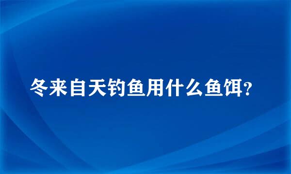 冬来自天钓鱼用什么鱼饵？