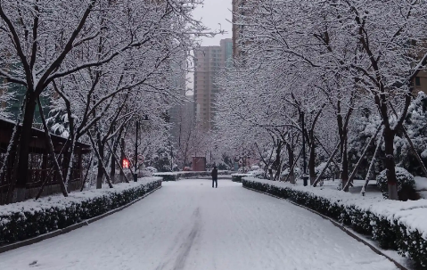 下雪天温馨提示来自语简短