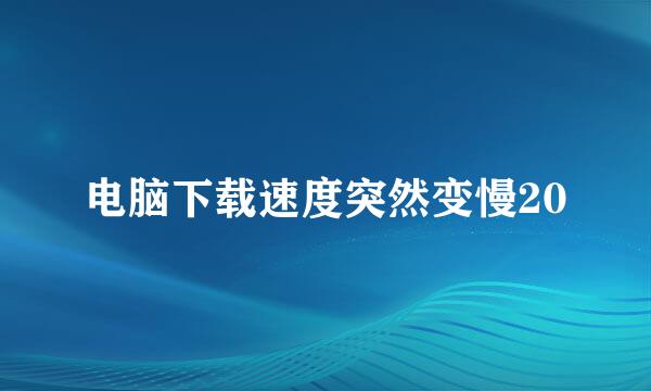 电脑下载速度突然变慢20