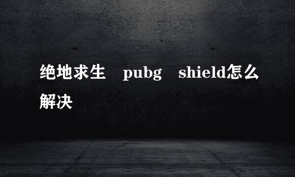 绝地求生 pubg shield怎么解决