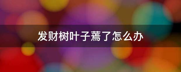 发财树叶子蔫了怎举雷简帝种欢致烟么办