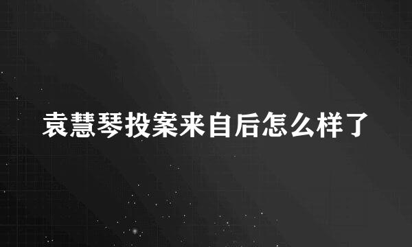袁慧琴投案来自后怎么样了