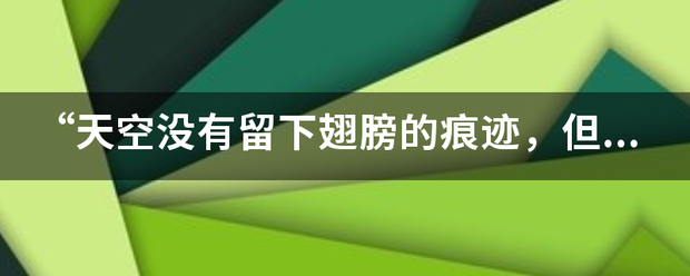 “天空没有留下翅膀的痕迹，但我已经飞过”是什么意思