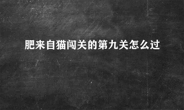 肥来自猫闯关的第九关怎么过