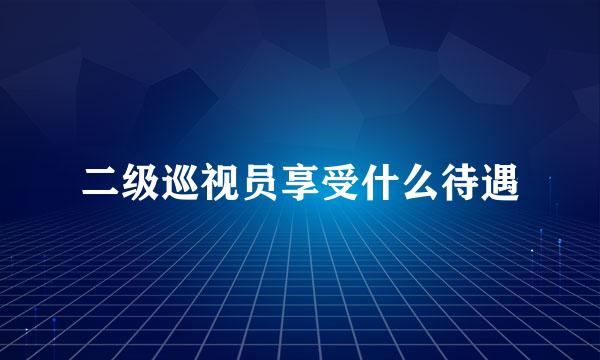 二级巡视员享受什么待遇