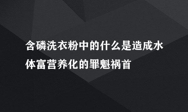 含磷洗衣粉中的什么是造成水体富营养化的罪魁祸首