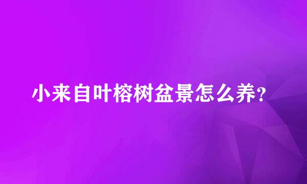 小来自叶榕树盆景怎么养？