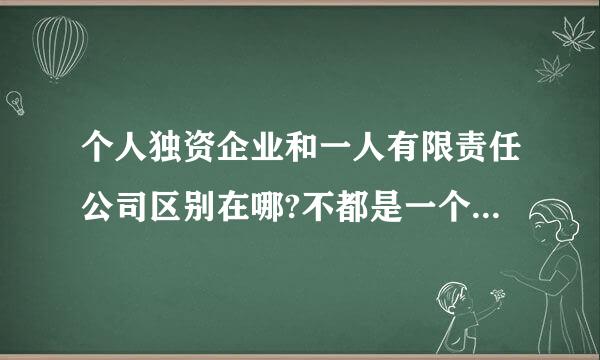 个人独资企业和一人有限责任公司区别在哪?不都是一个人经营的来自吗?