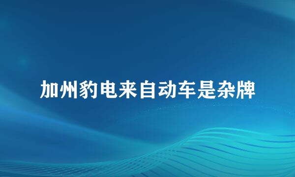 加州豹电来自动车是杂牌