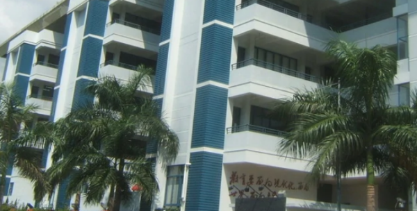 深圳民办学校排行榜前10名