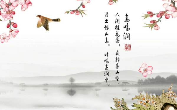 鸟赵操鸣涧古诗意思