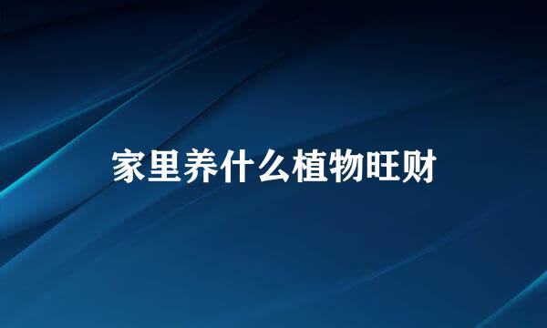 家里养什么植物旺财