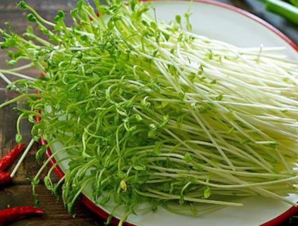 野豌豆苗的功效与作用是什么？
