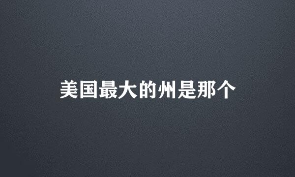 美国最大的州是那个