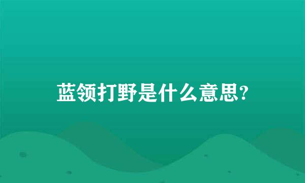 蓝领打野是什么意思?