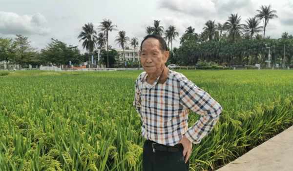 共和国勋章颁奖词原红顶有哪些?