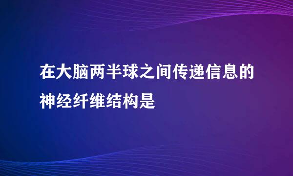 在大脑两半球之间传递信息的神经纤维结构是