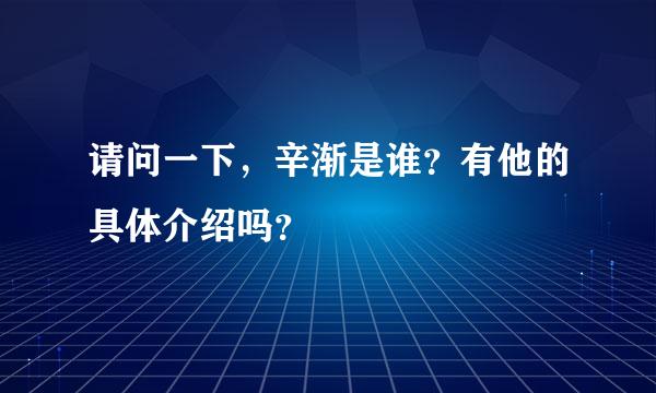 请问一下，辛渐是谁？有他的具体介绍吗？