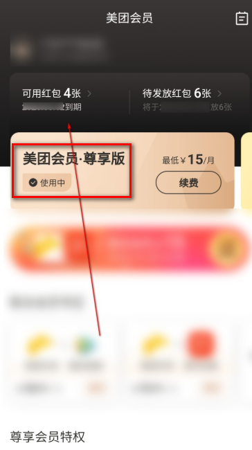 美团会员在哪看