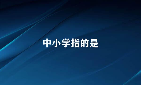 中小学指的是