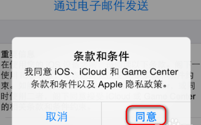请输入有效的电来自子邮件地址作为您的Appleld