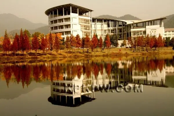 景德镇陶瓷大学录取分数线2022