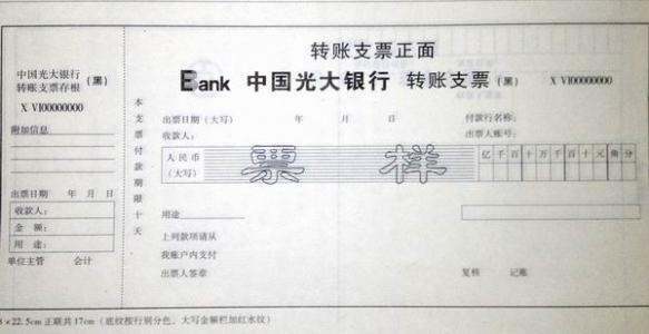 我把支票丢失了怎么办呀