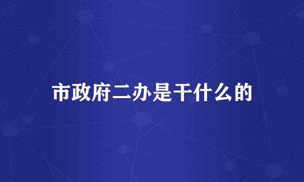 市政府二办是干什么的