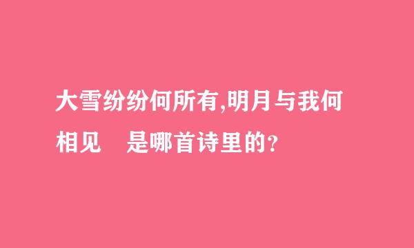 大雪纷纷何所有,明月与我何相见 是哪首诗里的？