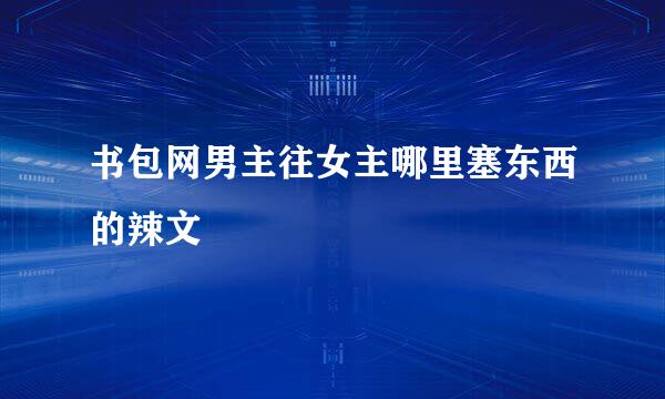 书包网男主往女主哪里塞东西的辣文