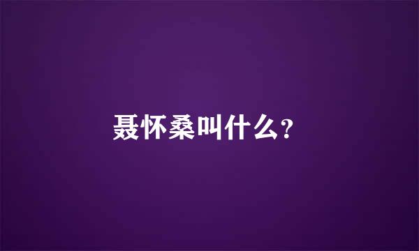 聂怀桑叫什么？