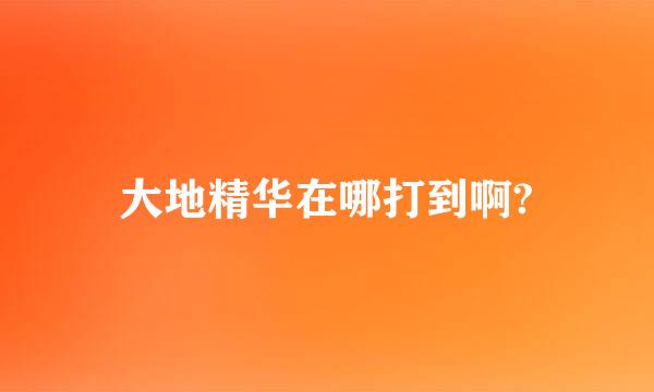大地精华在哪打到啊?
