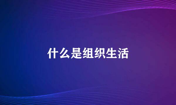 什么是组织生活