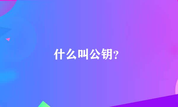 什么叫公钥？