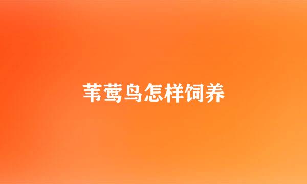 苇莺鸟怎样饲养