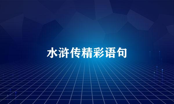 水浒传精彩语句