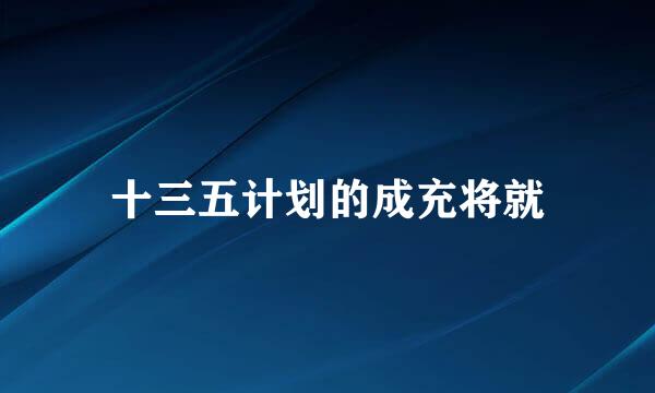 十三五计划的成充将就