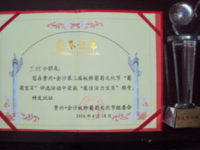 小学生奖项名称对单区坐映孙看种席大全