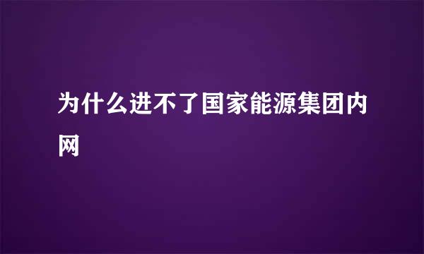 为什么进不了国家能源集团内网