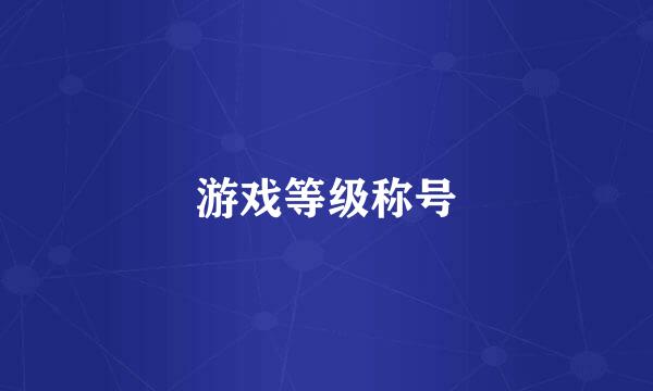 游戏等级称号