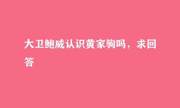 大卫鲍威认识黄家驹吗，求回答