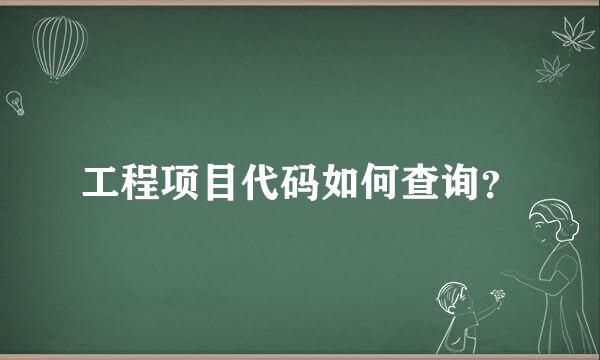 工程项目代码如何查询？