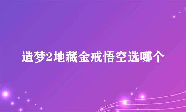造梦2地藏金戒悟空选哪个